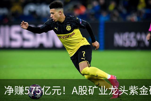 净赚575亿元！A股矿业龙头紫金矿业，前三季度净利大增52%，股价较年内高点回撤逾三成