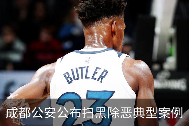 成都公安公布扫黑除恶典型案例