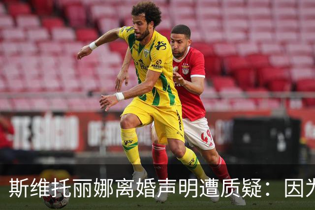 斯维托丽娜离婚声明遭质疑：因为战争就要离婚？别打球了去打仗吧
