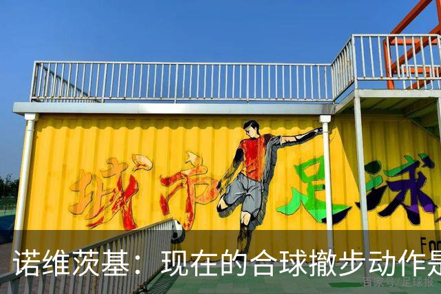 诺维茨基：现在的合球撤步动作是从火箭登开始的 已经有点失控了